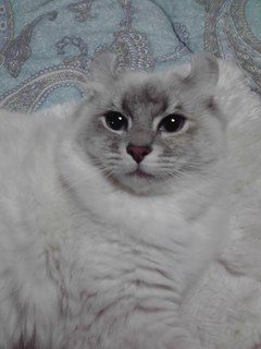 10-02-21_004.jpg