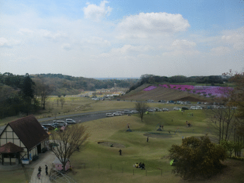 1334494520BSsuR0cDPLRm8Md.gif