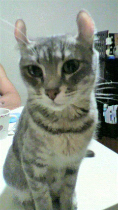 2009122700350000.jpg