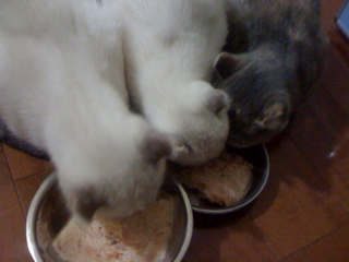 2010.2.6.bmp