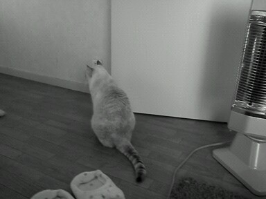 2011-12-11_09_15_36.jpg