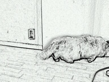 2011-12-11_09_34_16.jpg