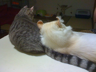 画像 087.jpg