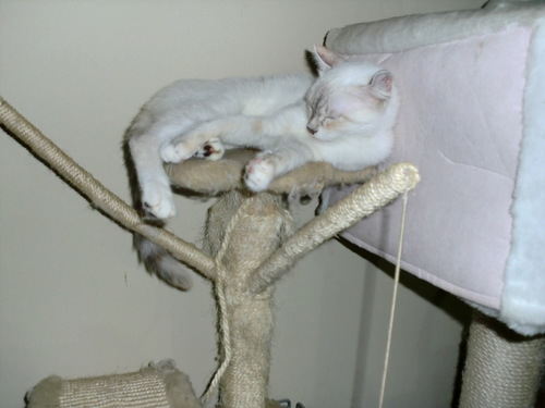CIMG0048.JPG