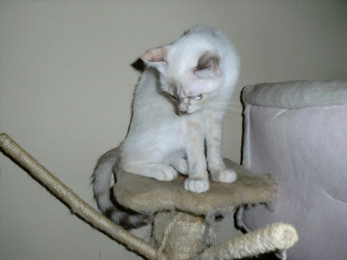 CIMG0049.JPG