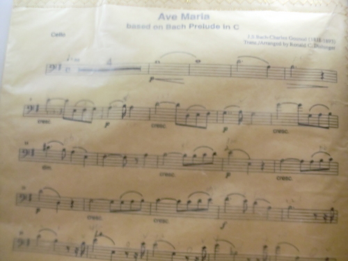 CIMG0670.JPG