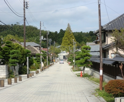 CIMG2748.JPG
