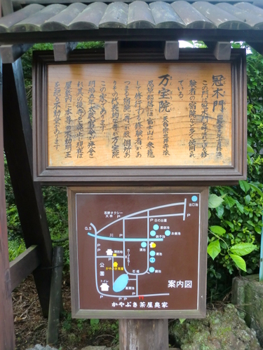 CIMG5130.JPG