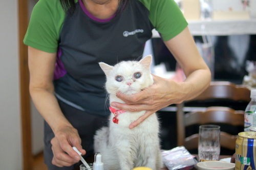 DSC06722.JPG