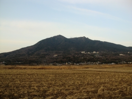 そばや 029.jpg