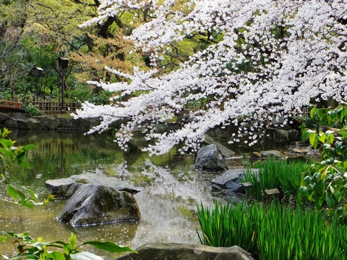 名主の滝公園p-1.jpg