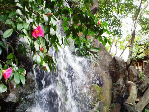 名主の滝公園p-2.jpg