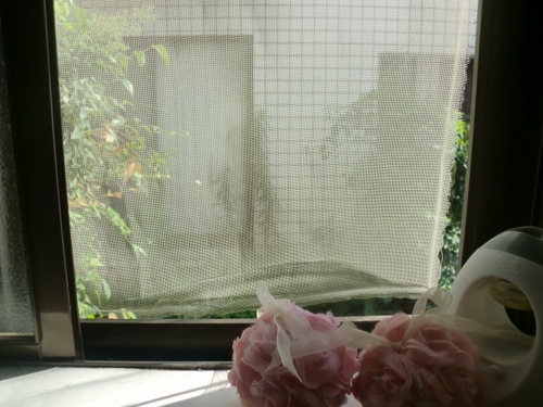 脱走 002.jpg