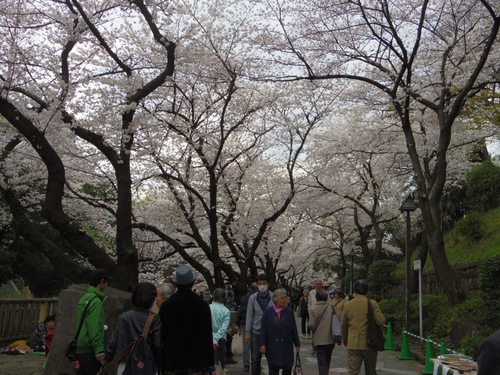 音無親水公園P-1.jpg