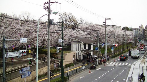 飛鳥山公園3.jpg