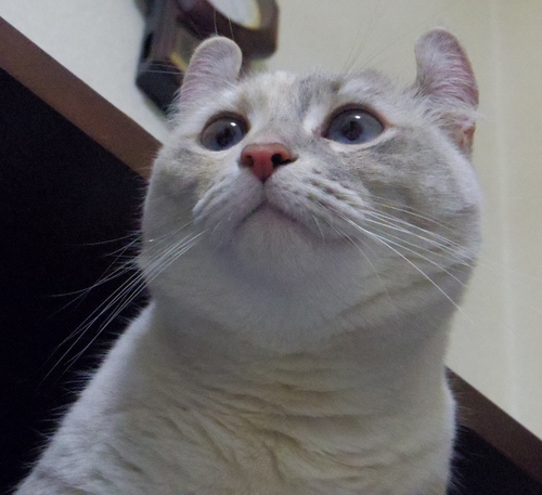 IMGP0128 (640x585).jpg