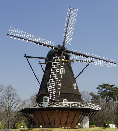 IMGP0807 (581x640).jpg