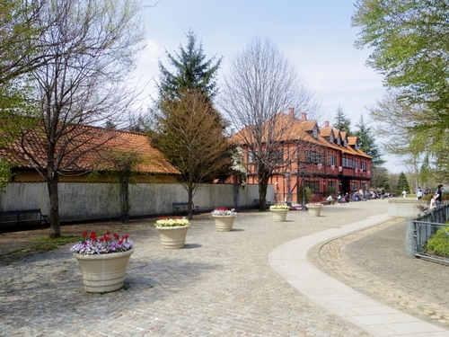 IMGP1103 (640x480).jpg
