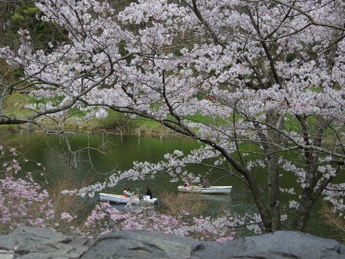 IMGP1117 (640x480).jpg