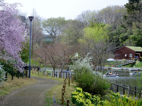IMGP1137 (640x480).jpg