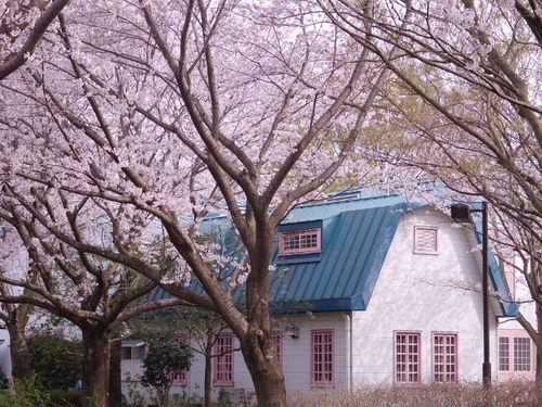 IMGP1223 (640x480).jpg