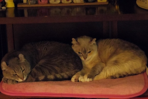 IMGP1273 (640x431).jpg