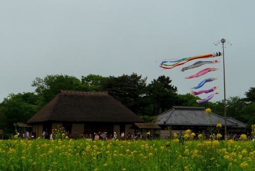 IMGP1902 (640x430).jpg