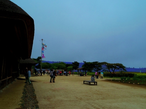 IMGP2028 (640x480).jpg