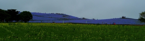 IMGP2047 (640x184).jpg