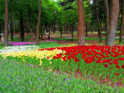 IMGP2073 (640x480).jpg