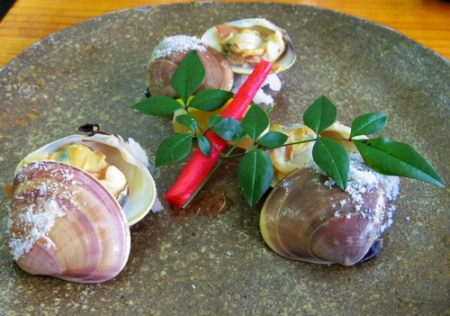 IMGP2076 (640x450).jpg