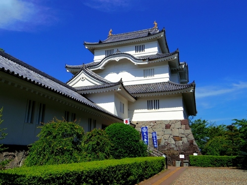 IMGP2102 (640x480).jpg