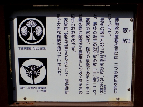 IMGP2106 (640x483).jpg