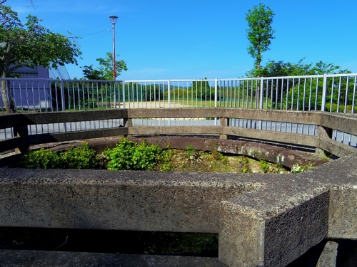 IMGP2135 (640x480).jpg
