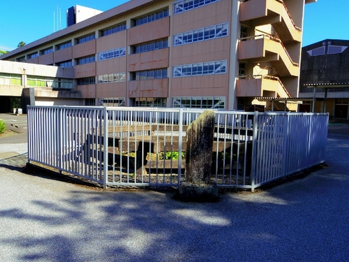 IMGP2139 (640x480).jpg