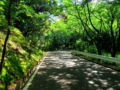 IMGP2152 (640x480).jpg