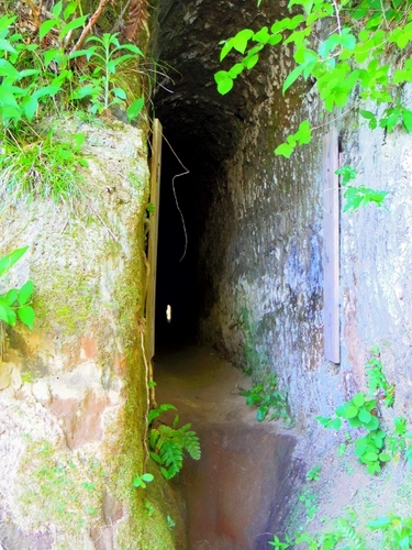 IMGP2173 (480x640).jpg