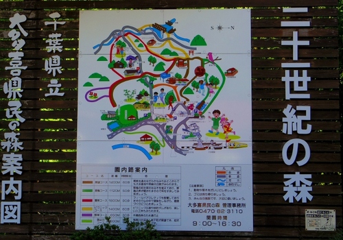 IMGP2179 (640x449).jpg