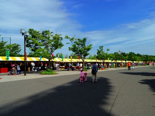 IMGP2218 (640x480).jpg
