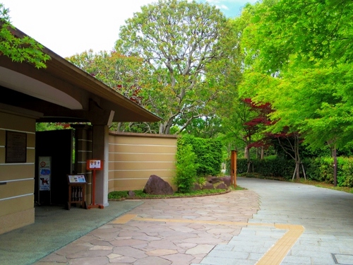 IMGP2306 (640x480).jpg