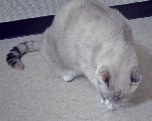 IMGP2417 (640x511).jpg