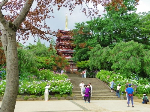 IMGP2661 (640x480).jpg