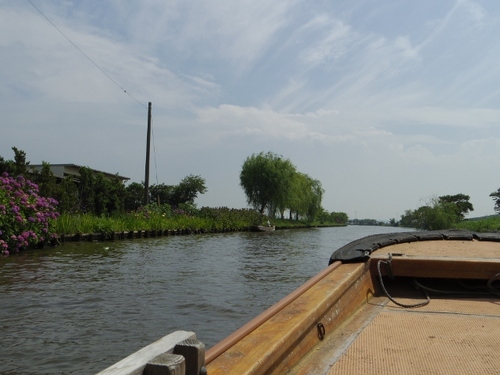 IMGP2928 (640x480).jpg