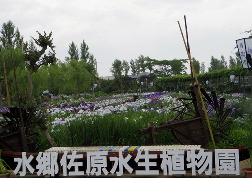 IMGP2982 (640x454).jpg