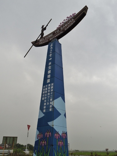 IMGP3034 (480x640).jpg