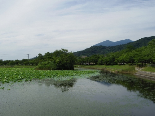 IMGP3104 (640x480).jpg