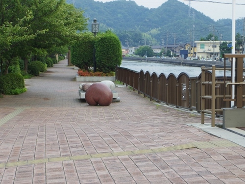 IMGP3721 (640x480).jpg