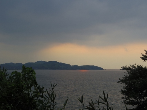 IMGP3760 (640x480).jpg