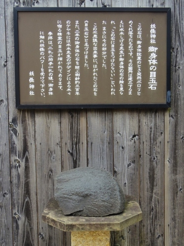 IMGP3804 (479x640).jpg