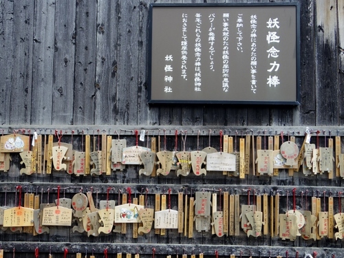 IMGP3807 (640x481).jpg